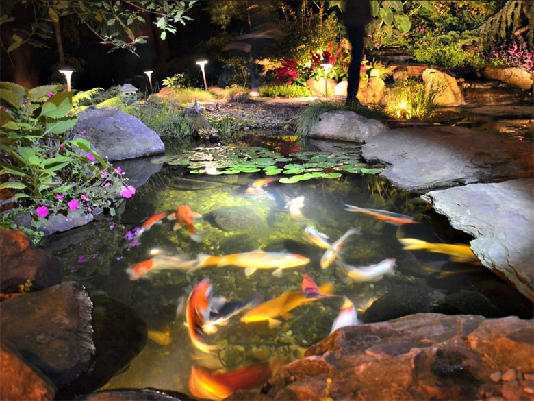 ponds-img1